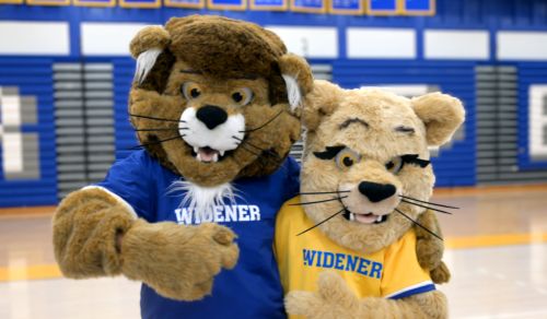 Mascots closeup