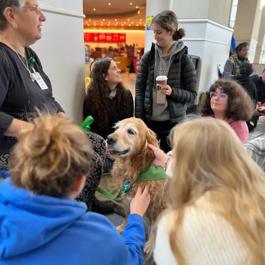 Students pet a golden retriever during a finals week therapy dogs stress relief event