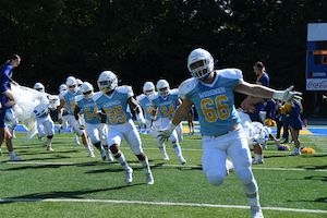 Football team on the field