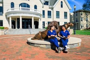 Two undergraduate nursing students at widener school of nursing talk outside founders hall near philadelphia