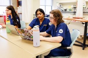 two widener undergraduate nursing students work together on a computer