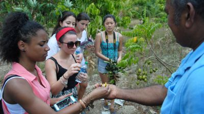 Students in Costa Rica on coffee farm
