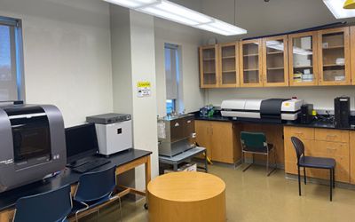 Widener's school of engineering's biomechanics lab 